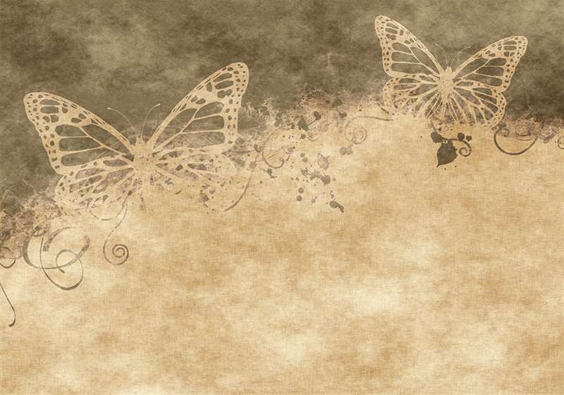 Carta da parati Farfalle