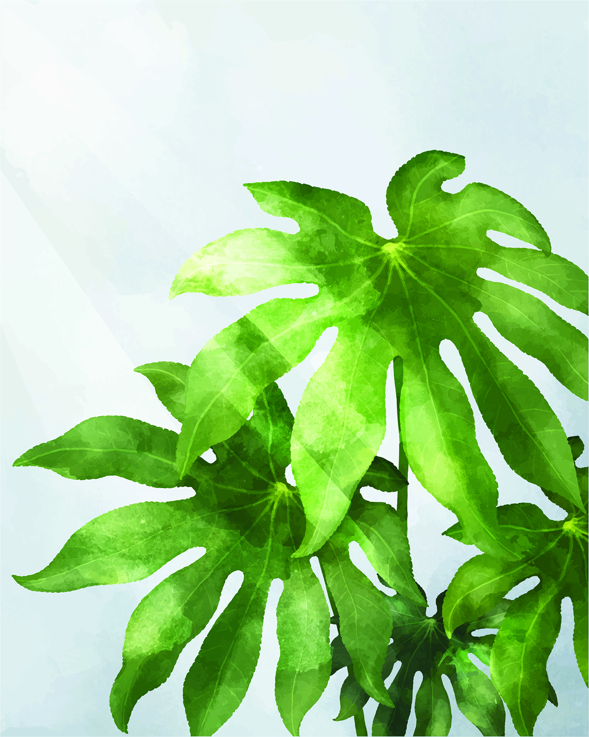 Carta da parati Green