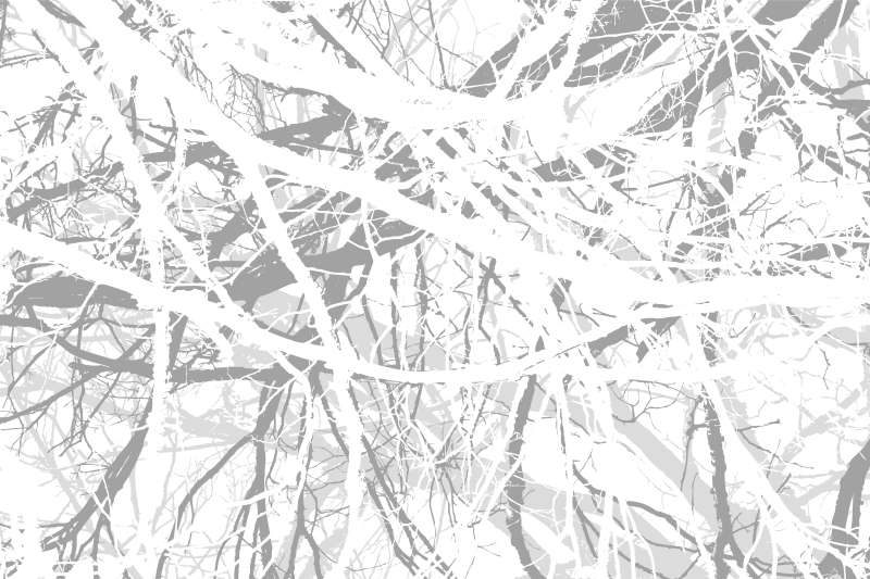 Carta da parati Intrecci