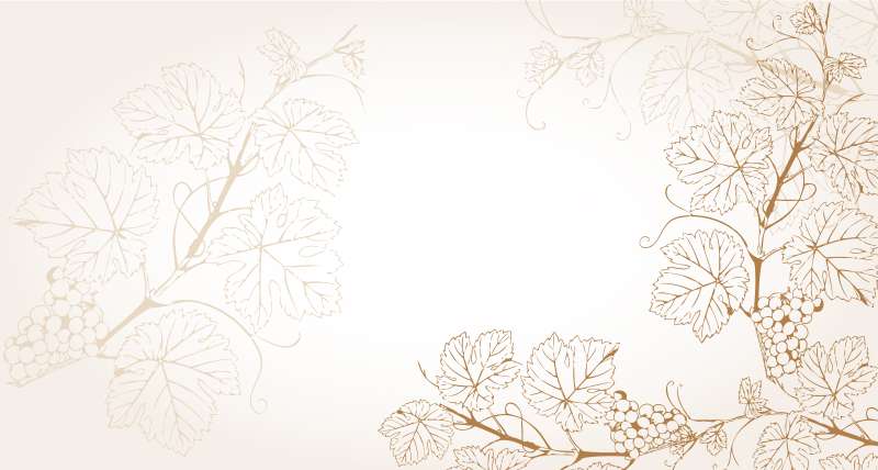 Carta da parati Vite Carta da parati Vite