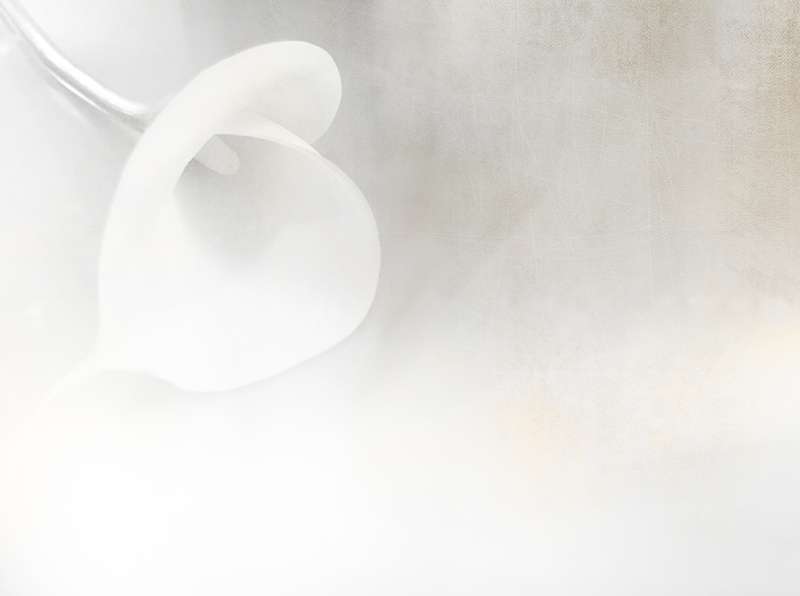 Carta da parati White soft